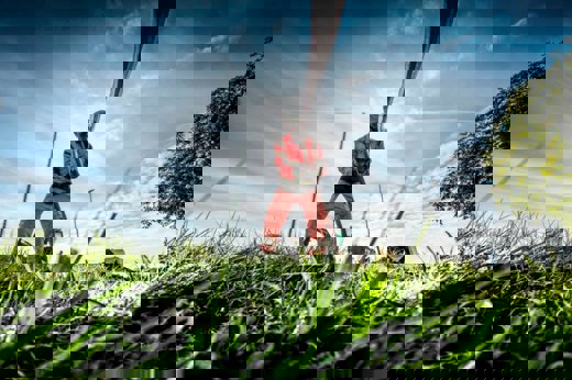 Verdo åbner fibernettet i samarbejde med OpenNet