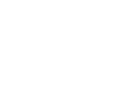 Stadtwerke SH